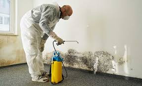 Best Industrial Mold Remediation in St Georges, DE